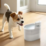 Dog Drinking Bowl: The Essential Guide to Choosing, Using, and Maintaining Your Pet’s Water Dish 
