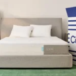The Complete Guide to Bed Mattresses and Memory Foam Mattresses: Finding Perfect Sleep Comfort